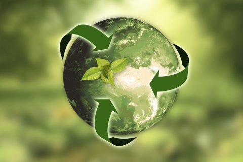 Recycling – czy masz świadomość?