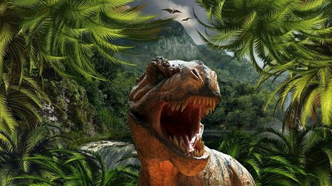 Polacy odkryli prawdziwe pochodzenie dinozaurów