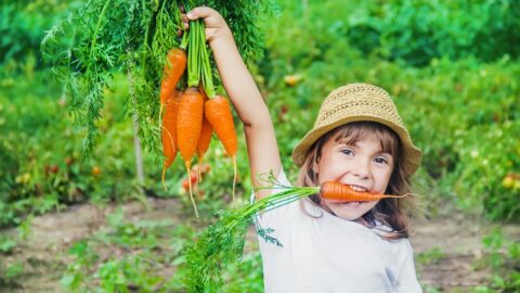 Zabawa pełna korzyści. Jak wspólna uprawa roślin wpływa na rozwój dziecka i jego relację z rodzicem?